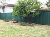Deep green Colorbond fence behind a lawn