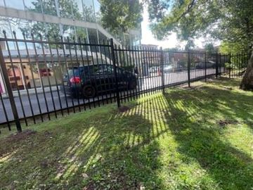 Spear-top steel boundary running behind large tree trunks on sloping ground.