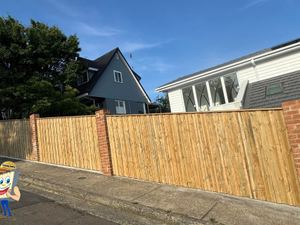 Timber paling fence in a Sydney garden