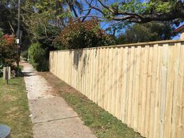 Treated pine paling fence along a footpath