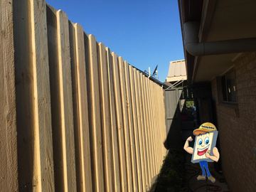New treated pine palings on a residential block.