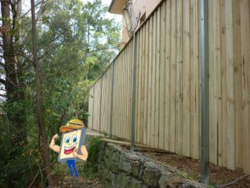 New treated pine palings along a garden boundary.