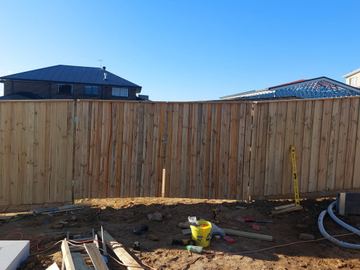 New treated pine palings on a residential block.