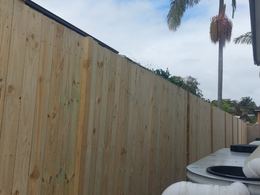 Treated pine paling fence along a side boundary