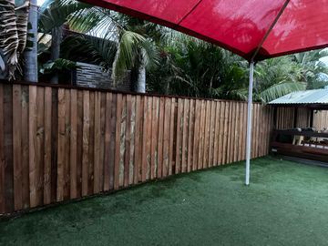 A treated pine paling fence along a garden boundary