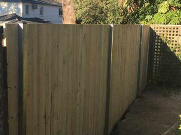 New treated pine palings on a residential block.