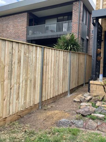 New treated pine palings on a residential block.