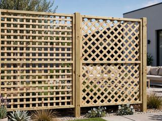 Square and diamond treated pine lattice fence panels in a garden